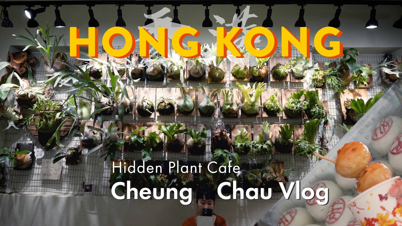 Hong Kong Plant Cafe 🌱 Local Street Foods, Biking, Fishballs | Cheung Chau Vlog