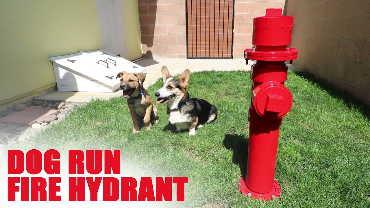 DIY Dog Fire Hydrant