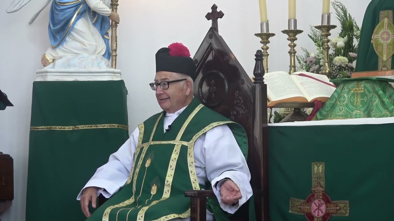 1520-Falsos profetas y SUS FRUTOS. Ecclesia Dei afflicta. Buen REBELDE desde joven