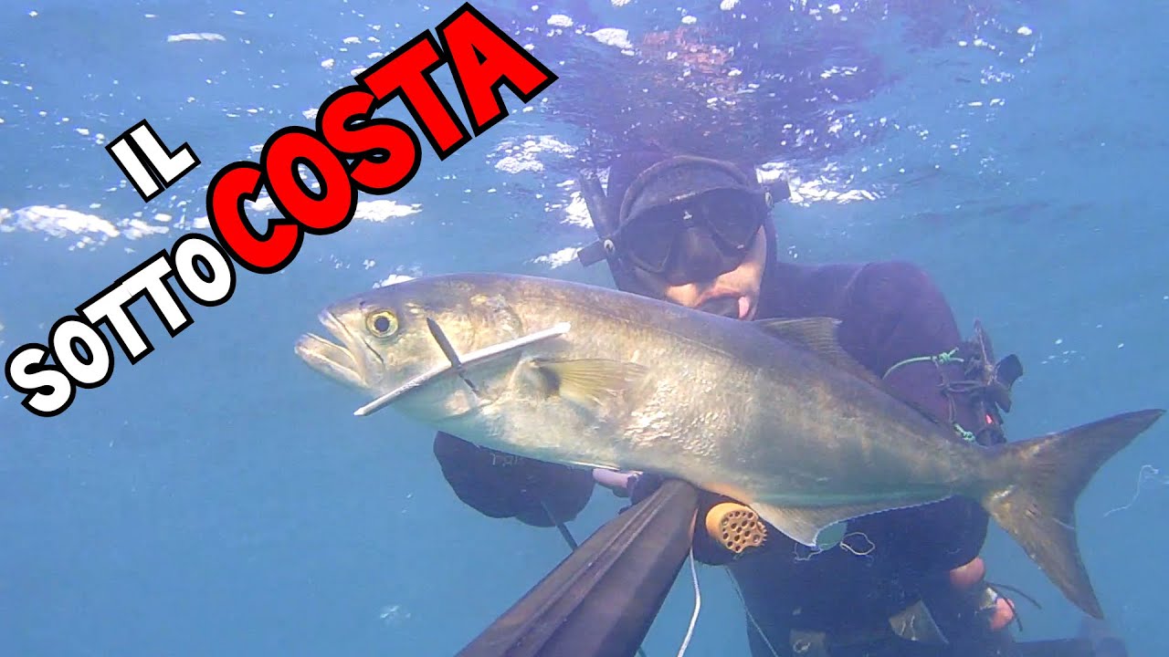 Pescasub: MAI SOTTOVALUTARLO - Spearfishing
