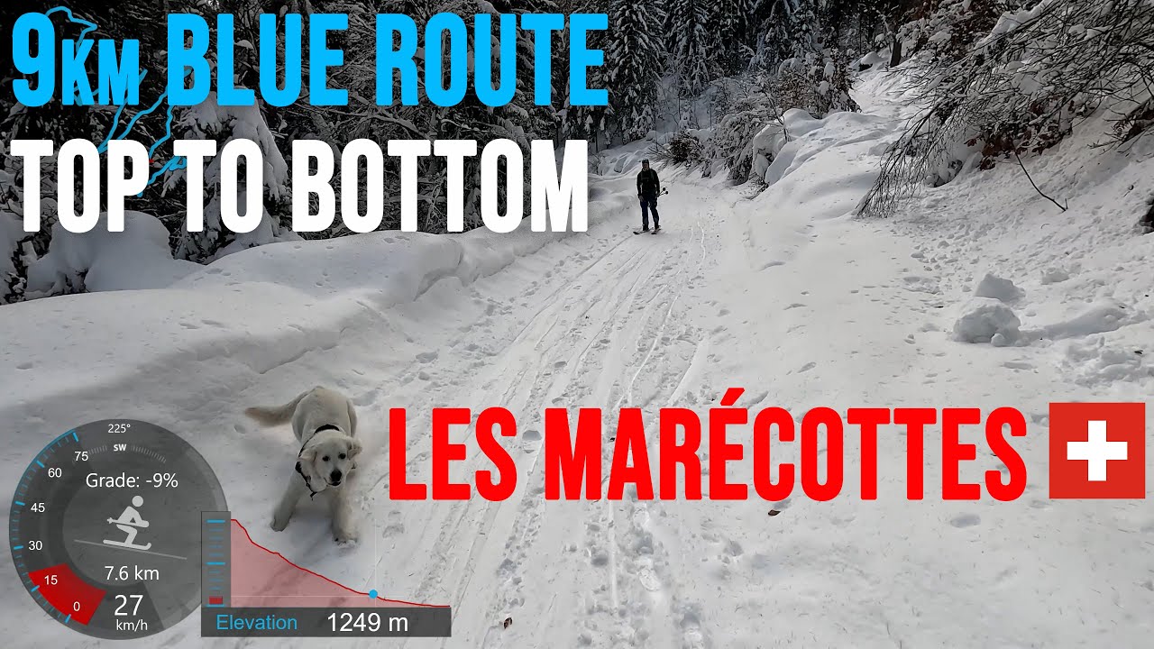 [4K] Skiing Les Marécottes, 9 km Blue Route Top to Bottom, Valais Switzerland, GoPro HERO11