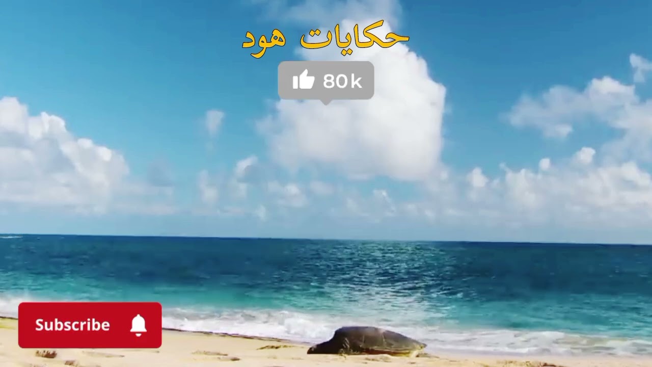 مقت....ولة بطريقة وحش....ية