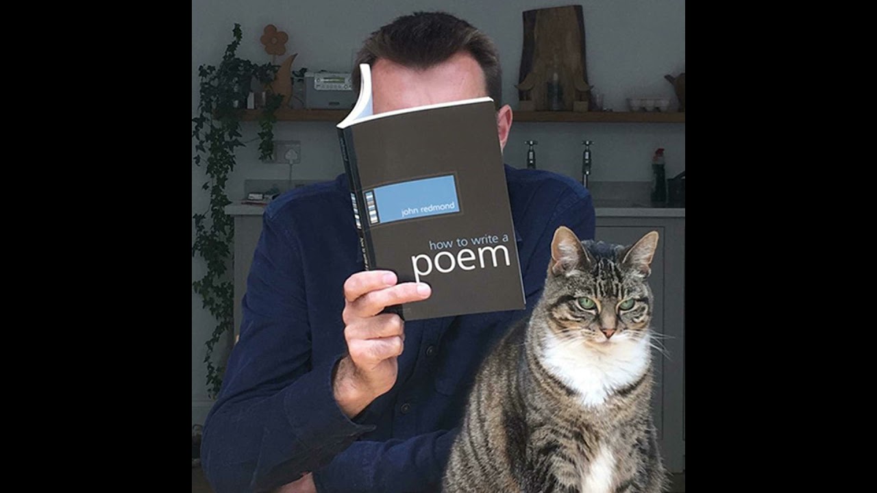 Brian Bilston: Let Sleeping Cats Lie