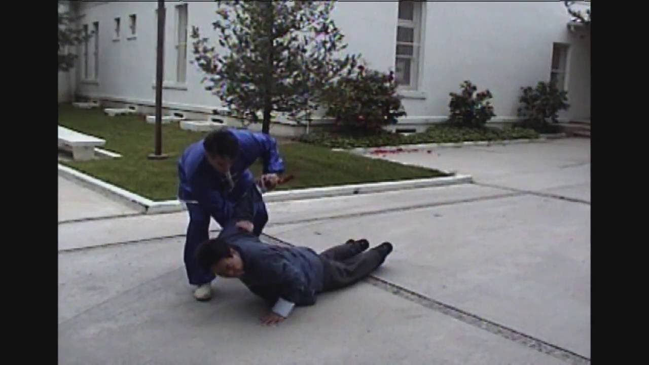 Baguazhang Form & Application, 