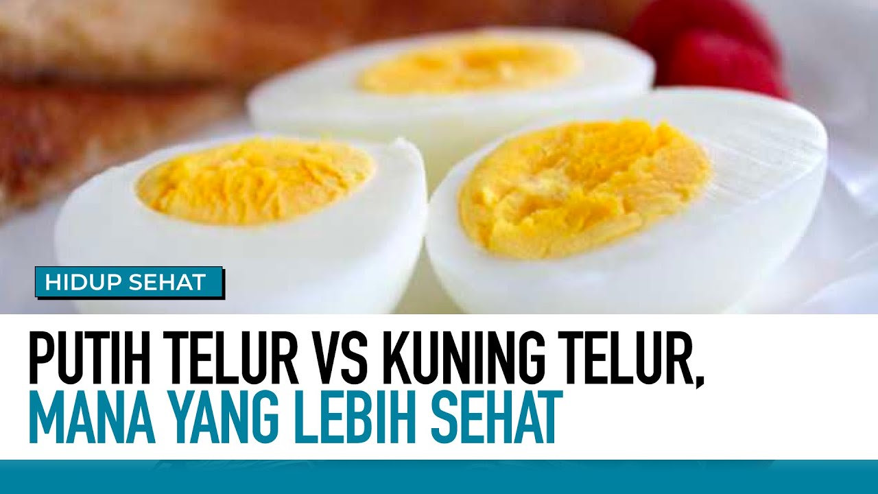 Putih Telur vs Kuning Telur, Mana yang Lebih Sehat  Part 1 | Hidup Sehat tvOne