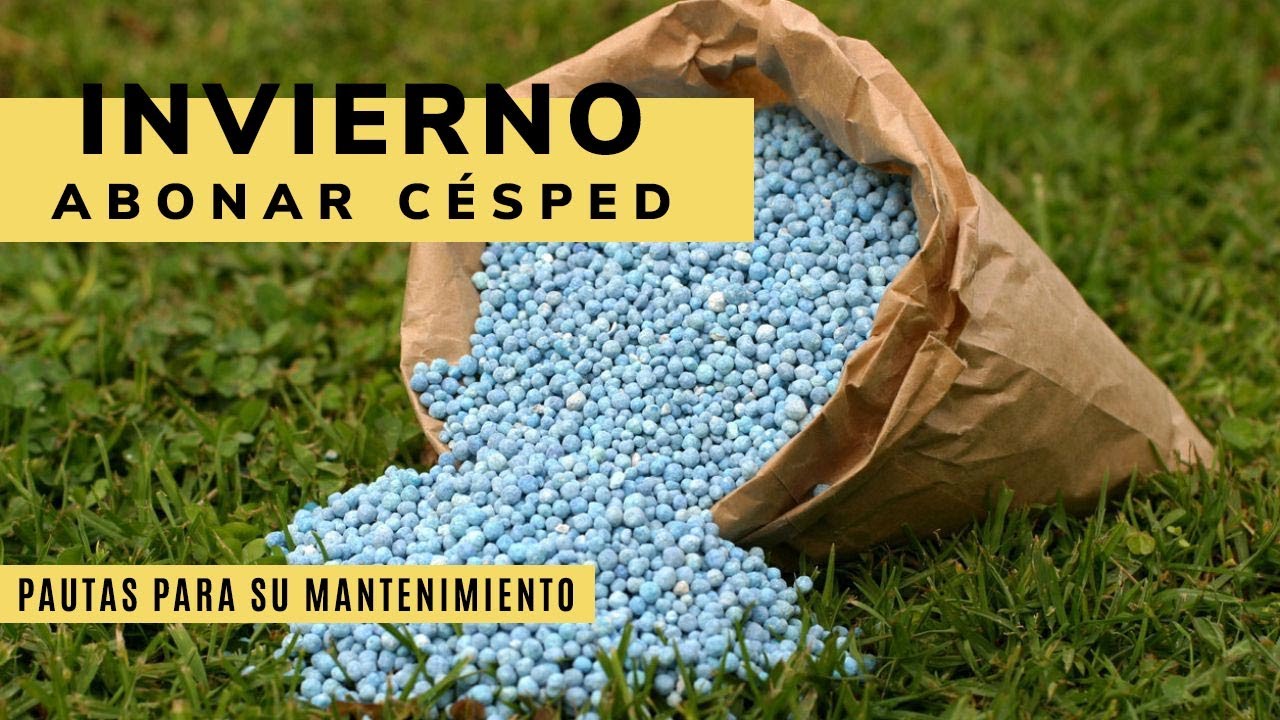 ABONAR el CÉSPED o pasto en INVIERNO 🌱 ¡Fácil y paso a paso! ❄️ Jardinatis 👩‍🌾👨‍🌾