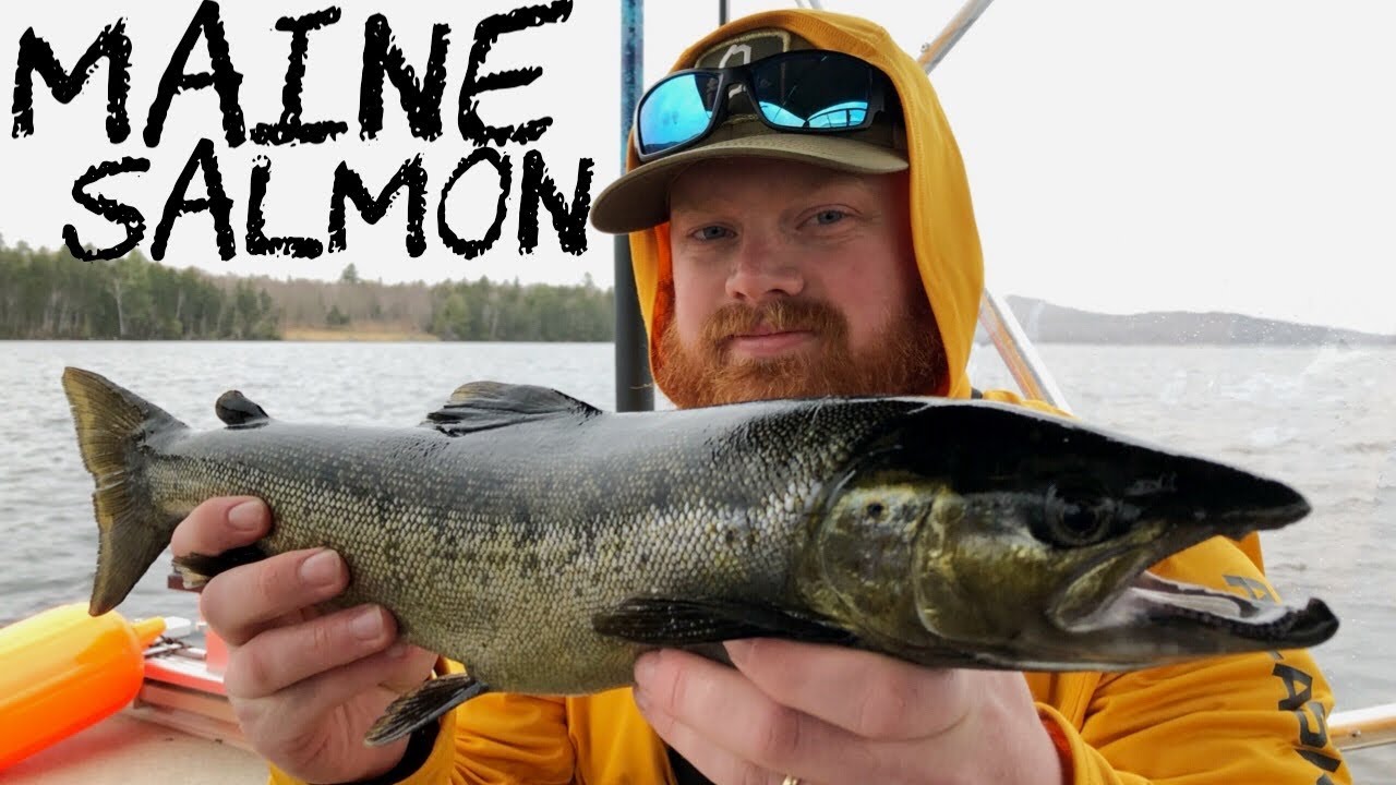 Landlocked Salmon Trolling | UP NORTH (Day 1)