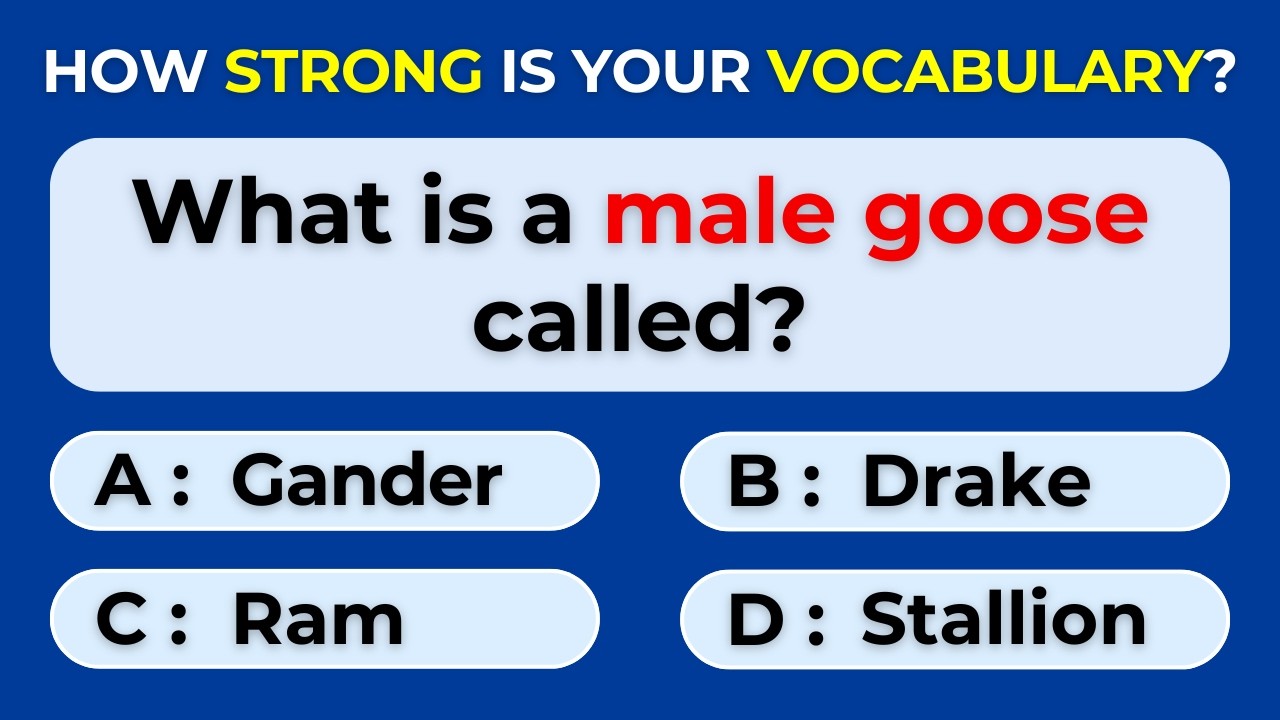 How Strong Is Your Vocabulary? Can You Score 30/30? Find the Correct Term. #Challenge 71