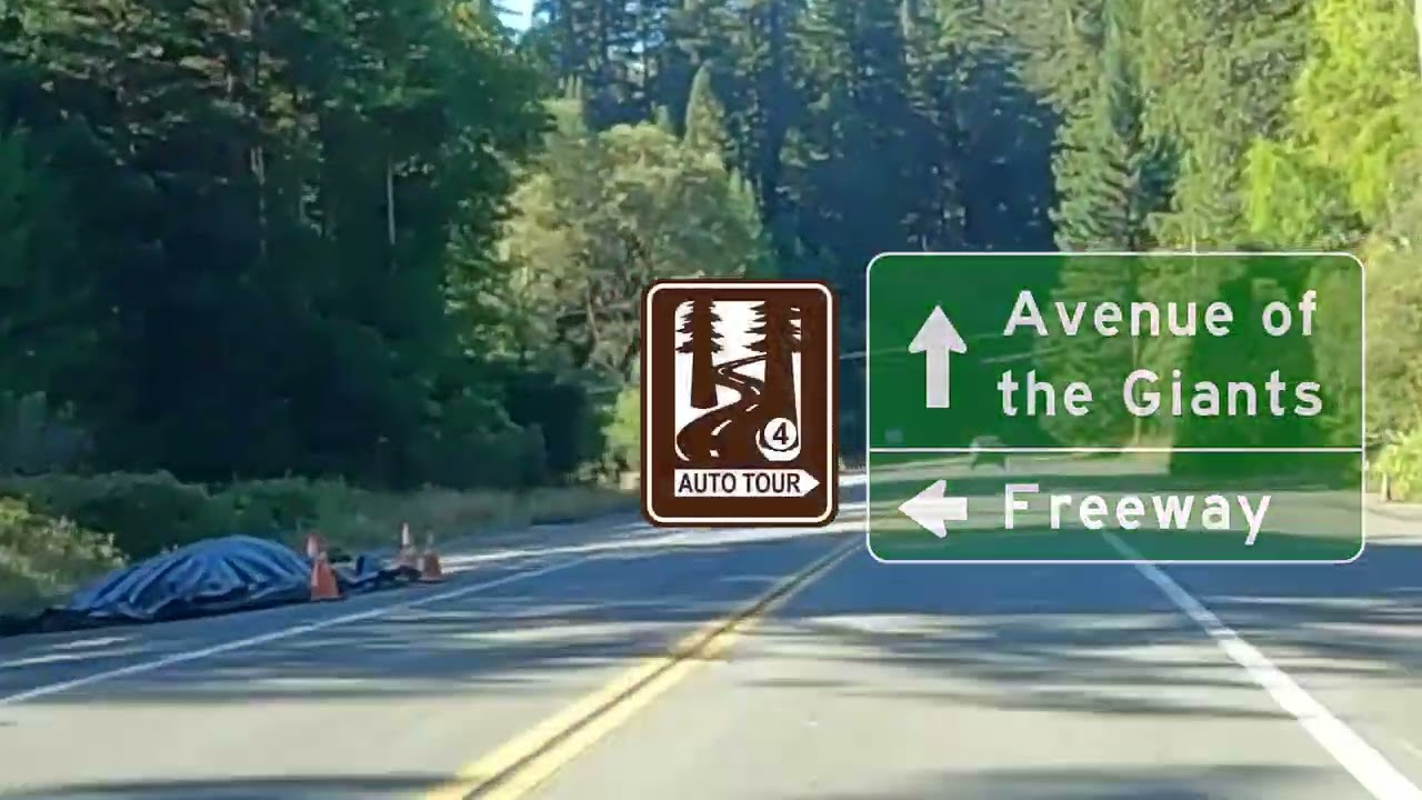 Avenue of the Giants (SR 254) - Humboldt Redwoods State Park