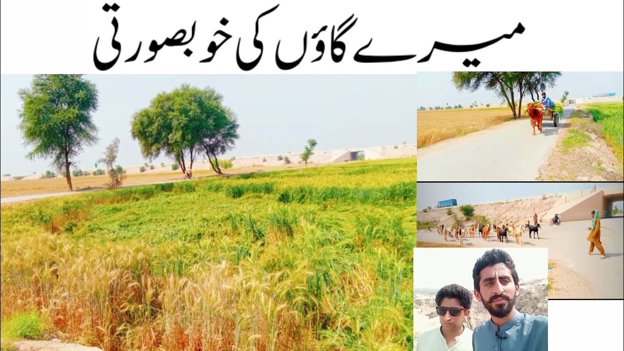 Beauty Of My Village Shamkot Khanewal Punjab Pakistan||Apna Vlog Tv