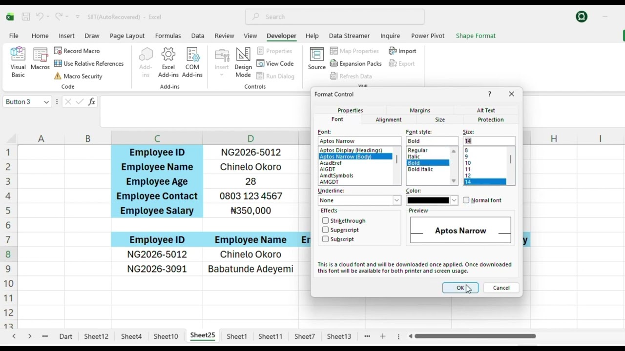 How to Automate Excel Data Entry: Create a Macro Button in less than 2 Minutes