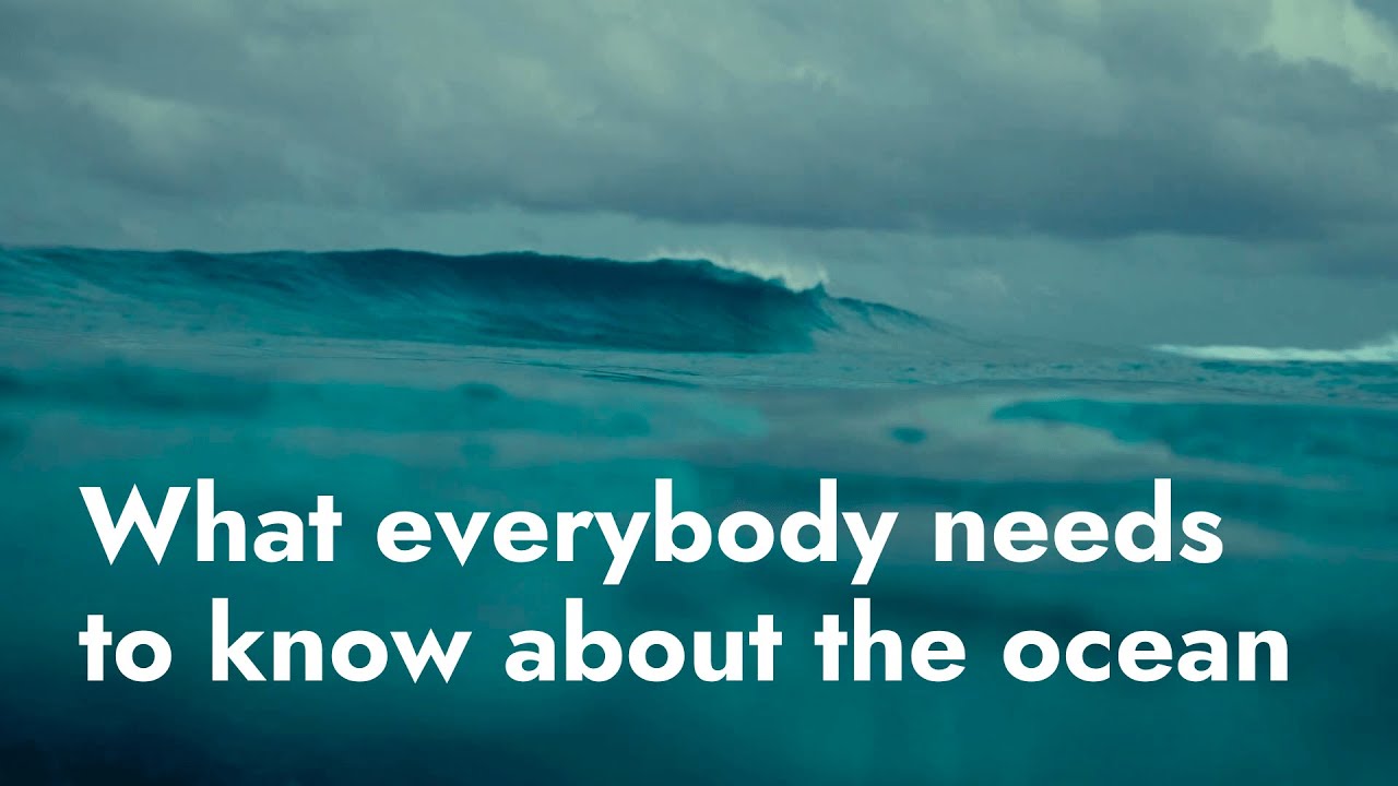 What should every citizen know about the ocean?