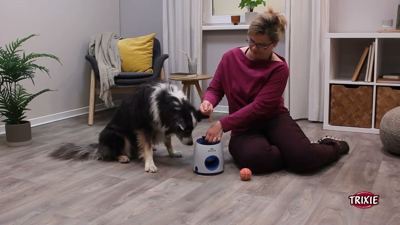 TRIXIE Dog Activity Ball & Treat strategy game for dogs #32009