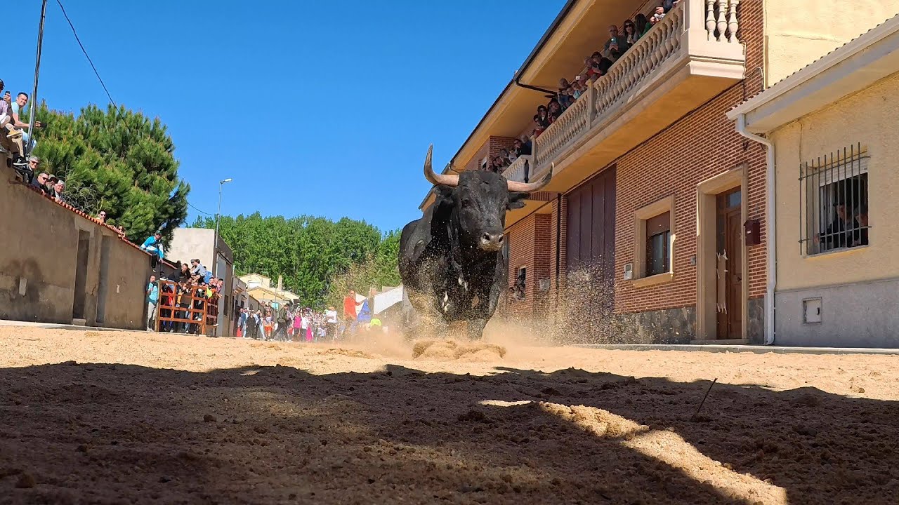 Resumen de los festejos taurinos del 2025