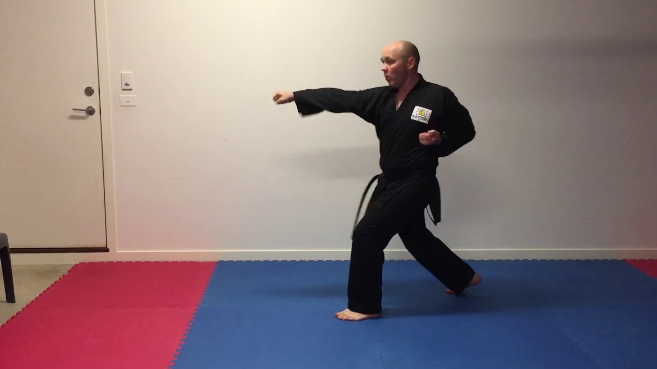 Shukokai Basic Combinations 1-4a