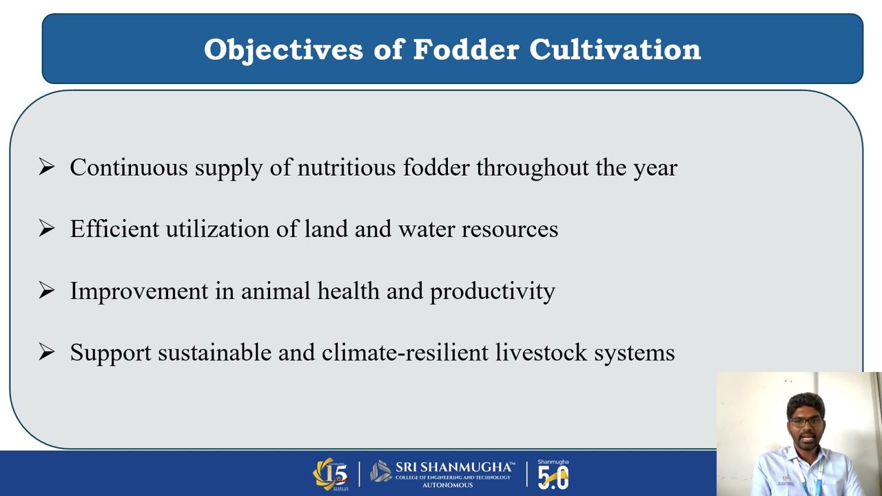 Fodder Cultivation