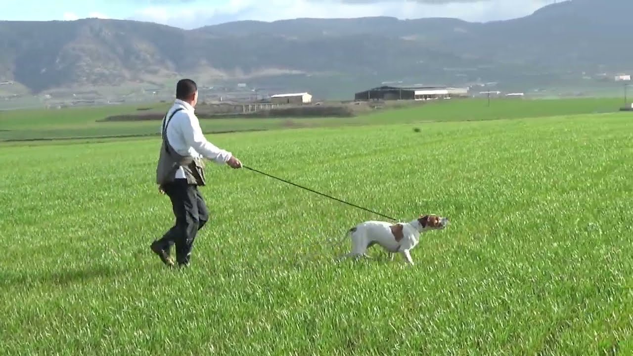 Marelina de la palmosa, 05.02.2026.