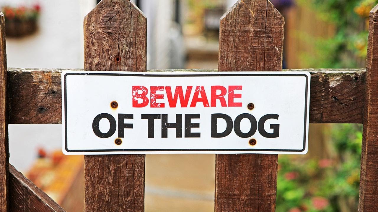 How to Stop a Dog From Attacking You
