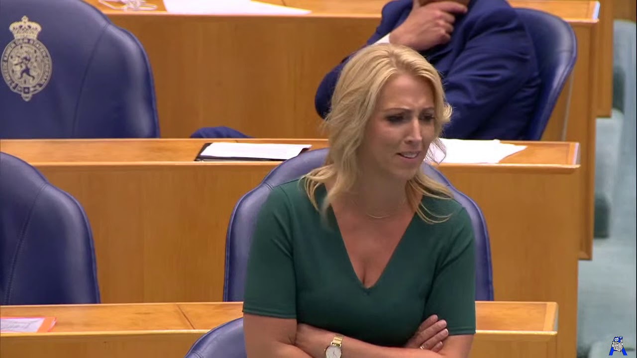 Azarkan noemt Marijnissen een beschonken komkommer - Debat over institutioneel racisme in Nederland