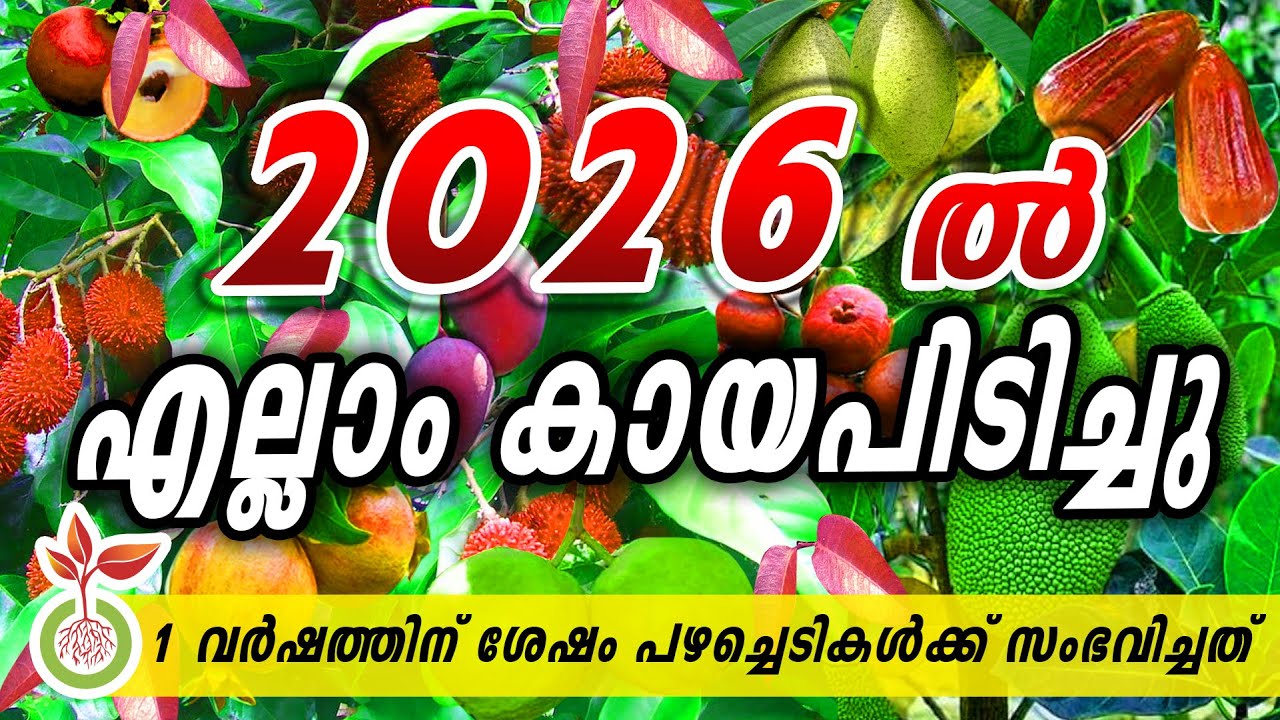 ഒരു വര്‍ഷത്തിന് ശേഷം എന്റെ തോട്ടം കണ്ടപ്പോള്‍! 🏡🌳 | Fruit Garden Update After 1 Year | GREENPOT