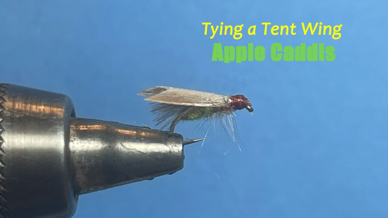 Tying a Tent Wing Apple Caddis
