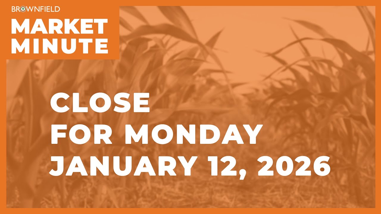 Cattle closed higher Monday | Closing Market Minute