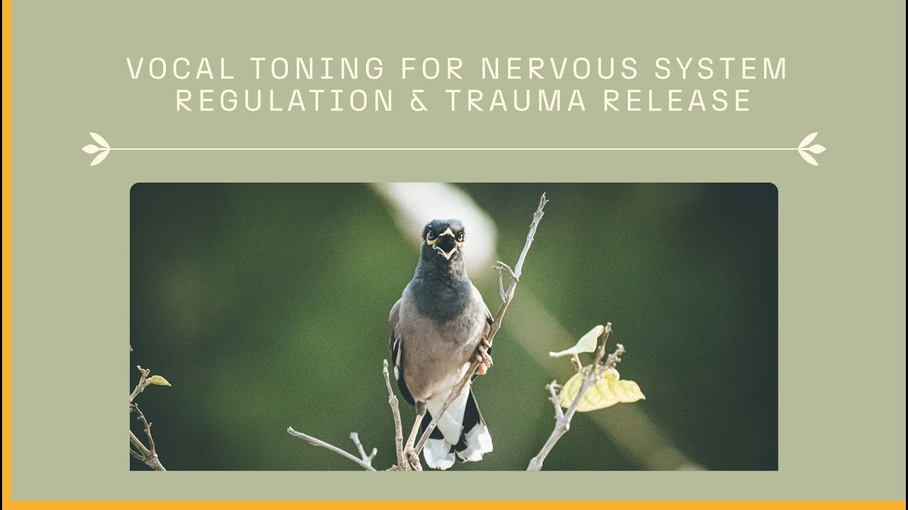Vocal Toning for Nervous System Regulation & Trauma Release