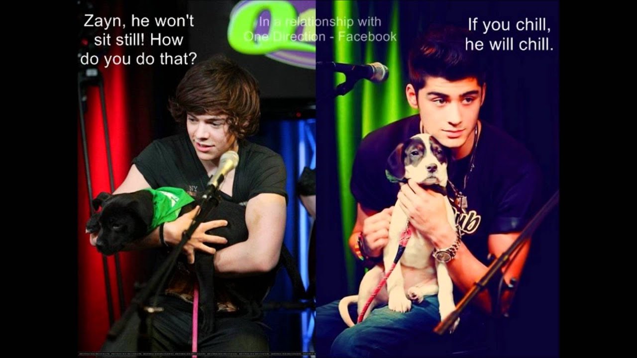 One Direction - funny pictures part 5