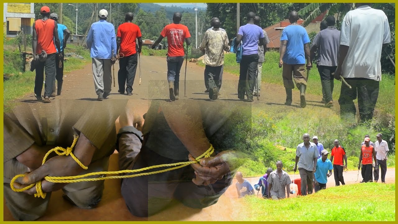 Kisii: Fed up villagers gang up to teach thieves a tough lesson, 4 arrested for stealing Bananas