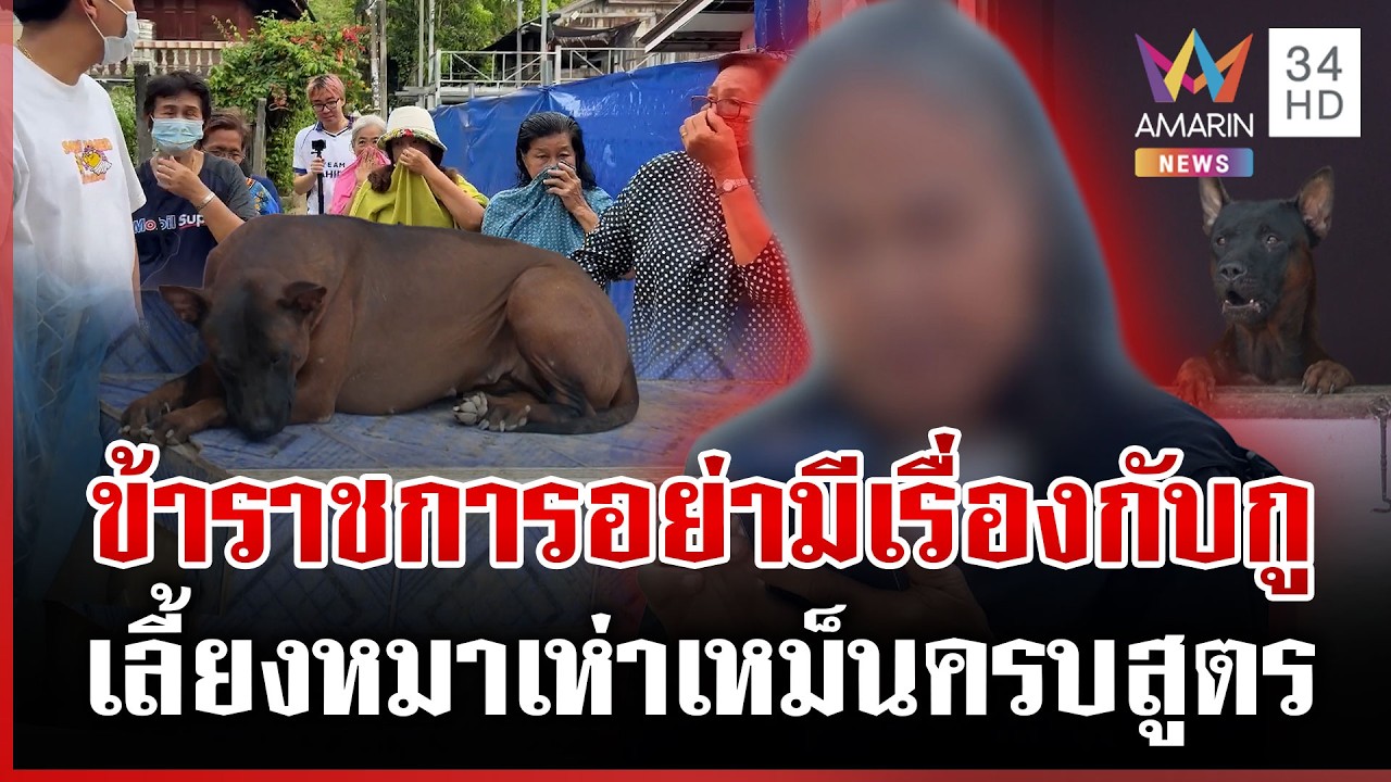 ทุกข์เพื่อนบ้าน! ป้าเลี้ยงหมา 30 ตัว เห่าเหม็นถูกสั่งย้ายใน 15 วัน | ทุบโต๊ะข่าว | 09/03/69