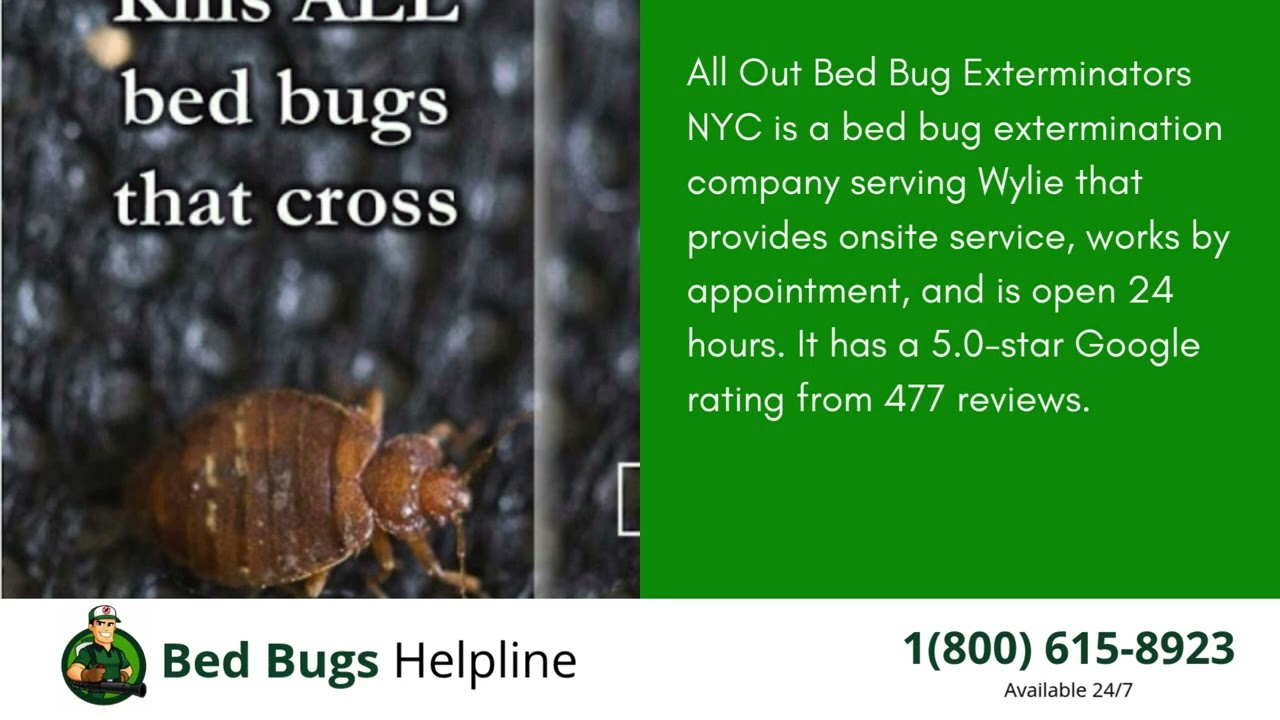 Top 3 Bed Bug Removal in Wylie