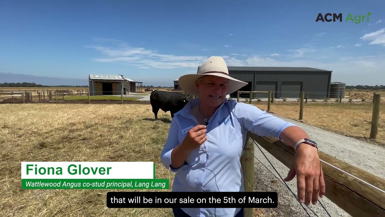 East Gippsland studs open their doors for Stock & Land Beef Week