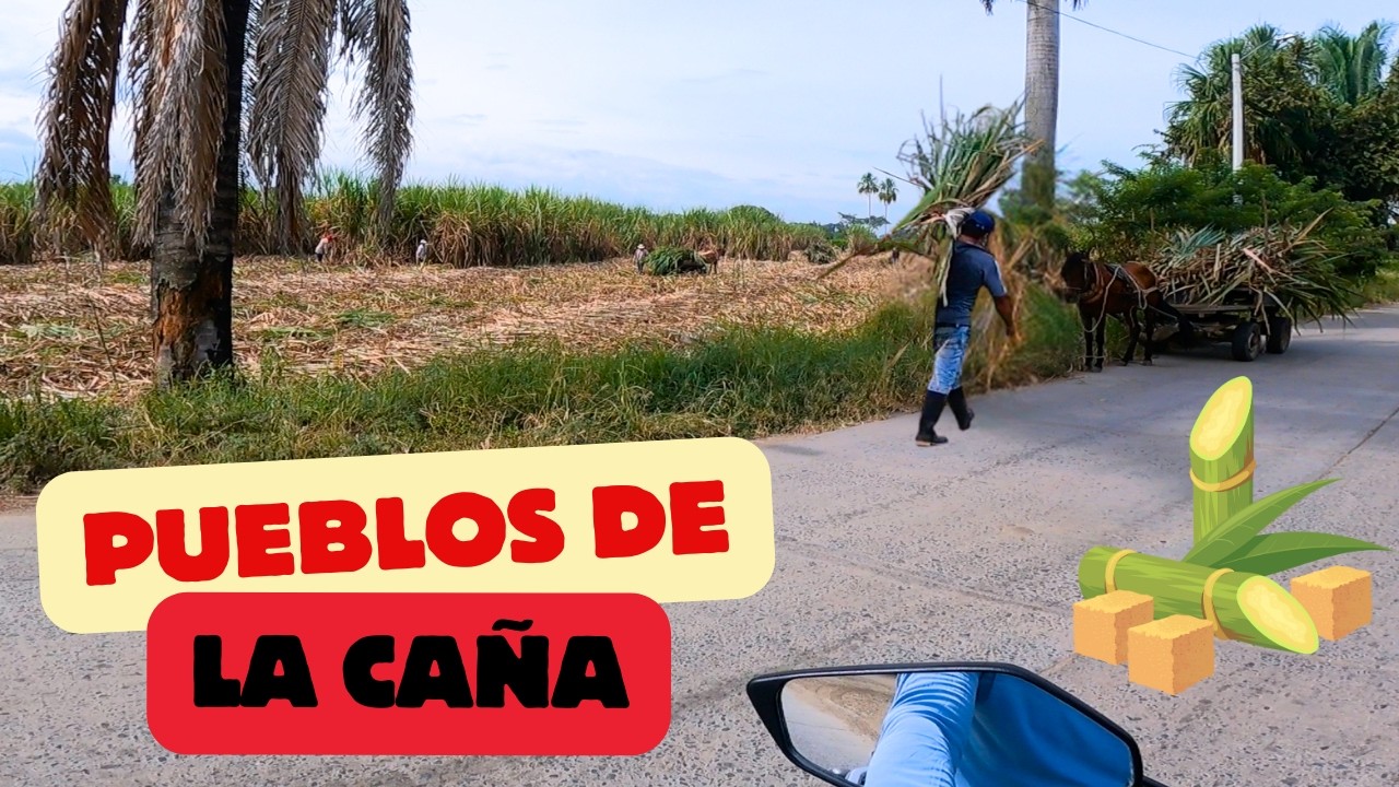 SAN JOAQUIN Y EL TIPLE 🇨🇴 Cultivos de CAÑA de Azucar 🌾 Motovlog