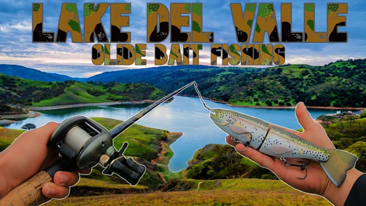 LAKE DEL VALLE GLIDE BAIT FISHING | LAKE DEL VALLE BASS FISHING | HOW TO FISH A NEW BODY OF WATER
