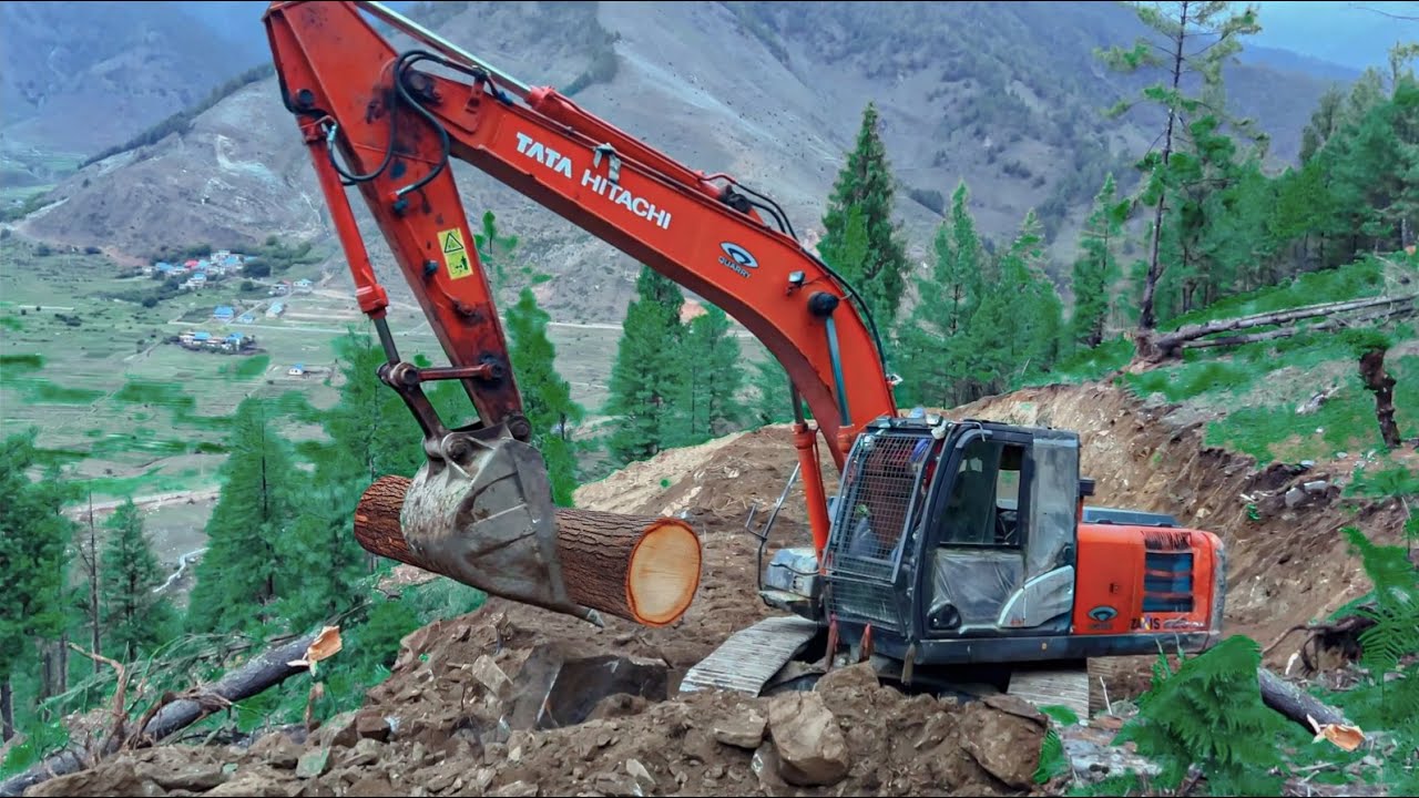Excavator Pulls Down Huge Tree for Mountain Road Project | This Is How Roads Are Made