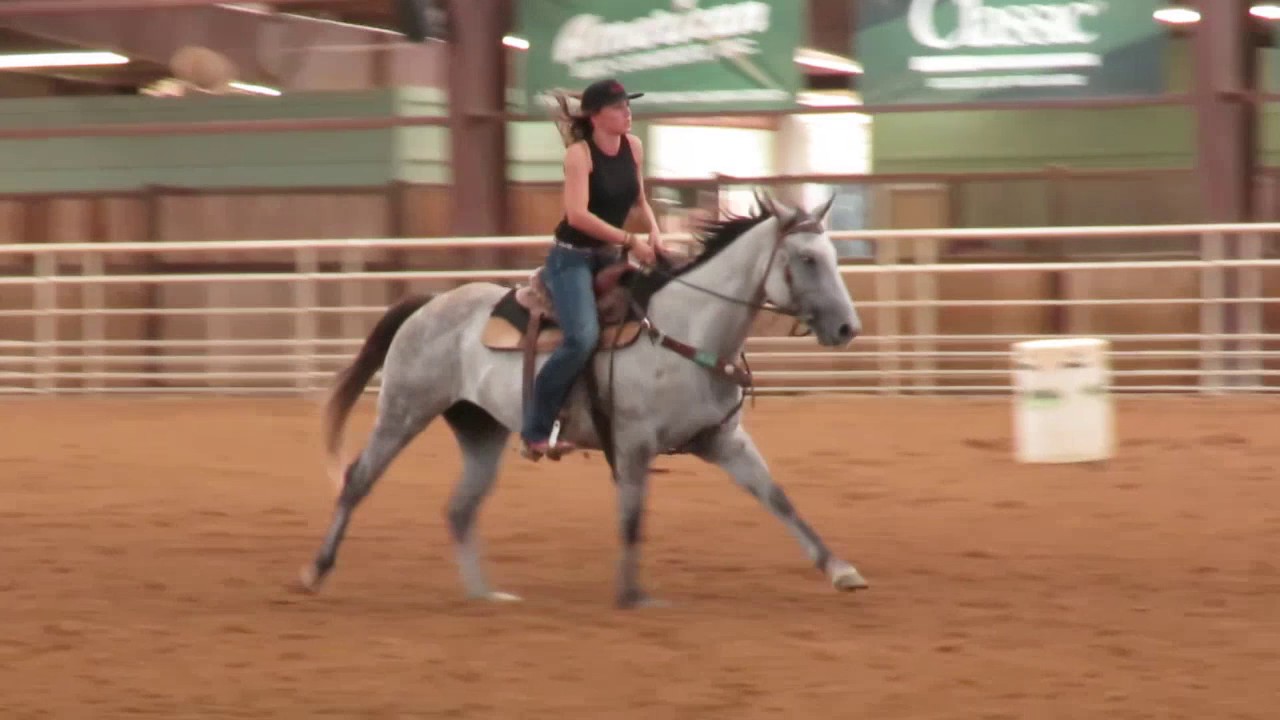 RW Roany - Chicks Beduino, Streakin Six, Dash For Cash  barrel mare - Buster Ranch - Buster Horses