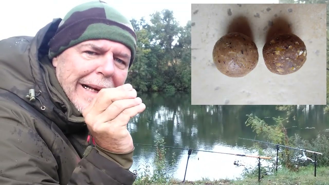 Pêche de la carpe sur la charente (17)