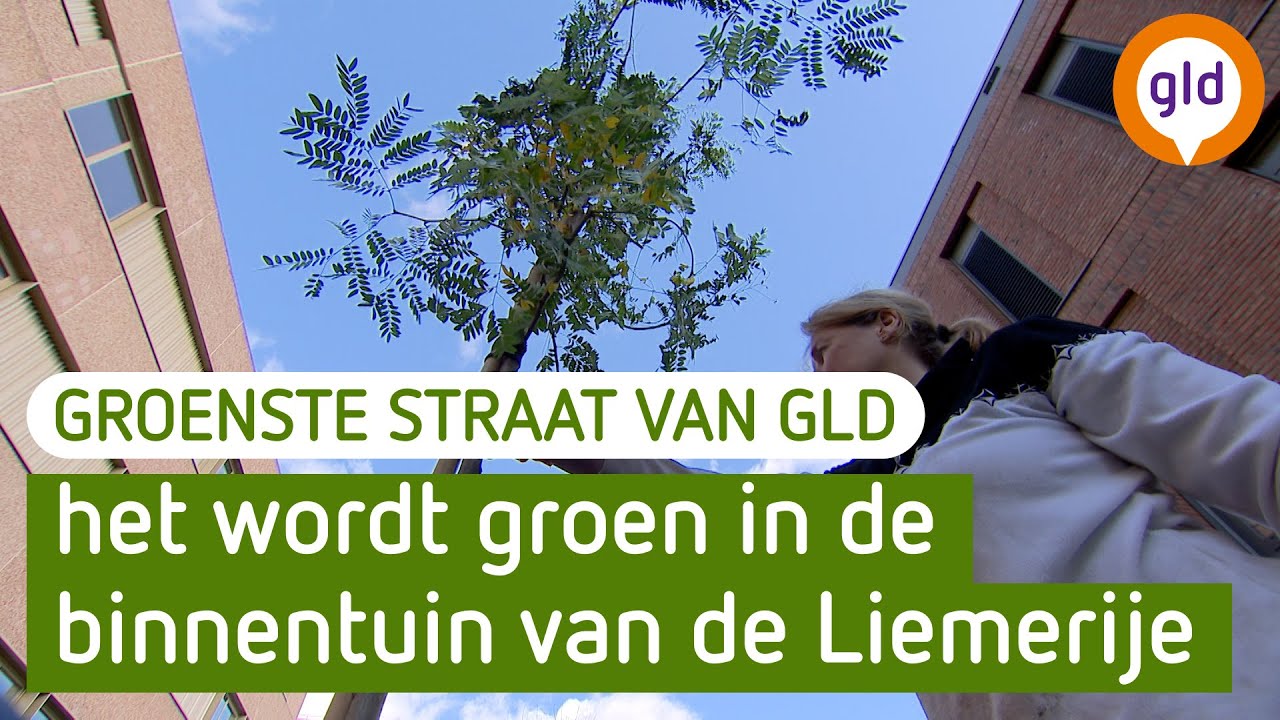 De Groenste Straat van Gelderland - De Liemerije in Zevenaar