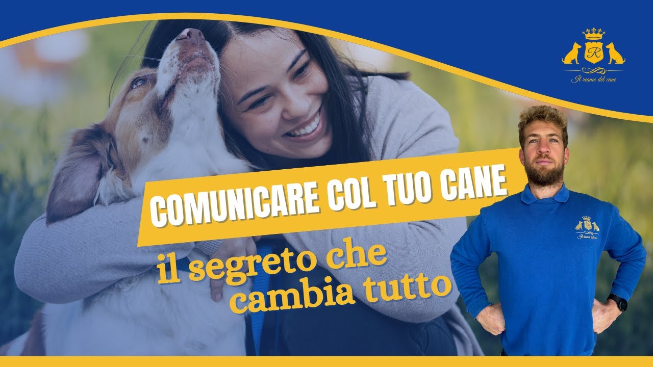 Perché il tuo cane non ti ascolta? Gli errori che (forse) stai facendo