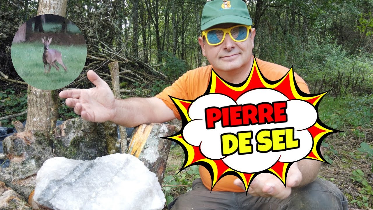 Mettre une pierre de sel