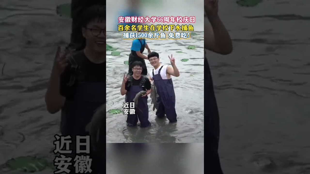 安徽财经大学校庆日百余名学生一起下水捕鱼#校庆 #捕鱼 #大学