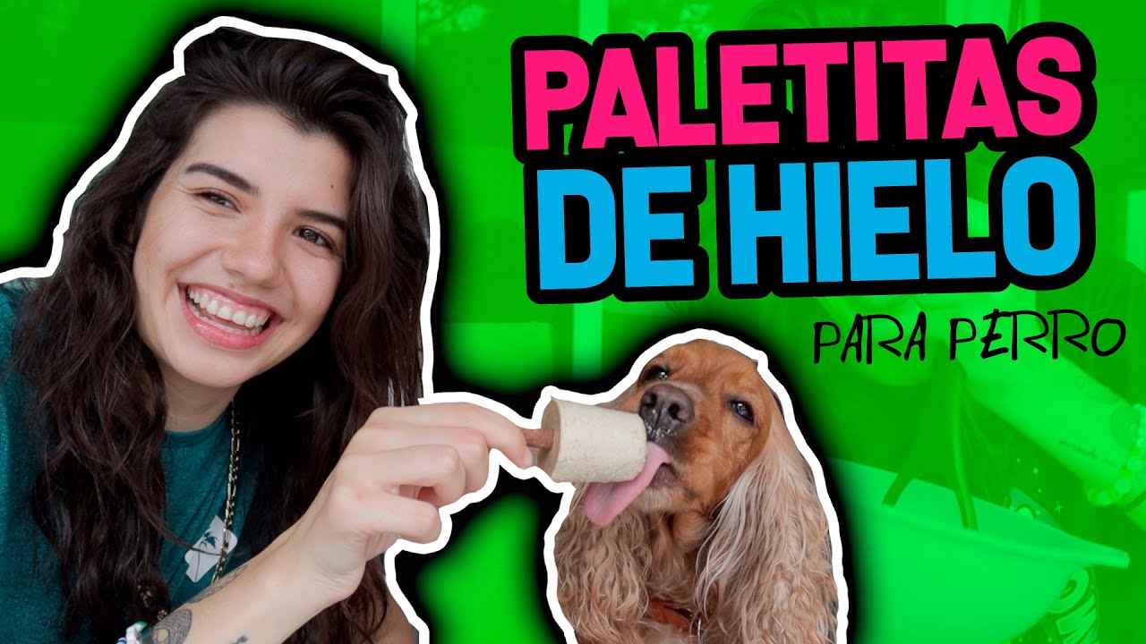 Paletas de Hielo para Perro!
