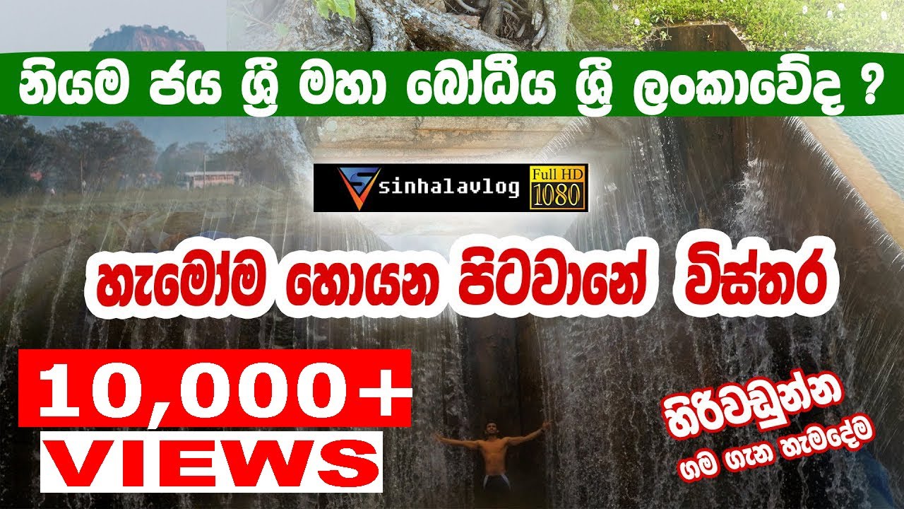Hiriwadunna Village Tour║ Original Sri Maha Bodhi Where Buddha Attained Nirvana ?