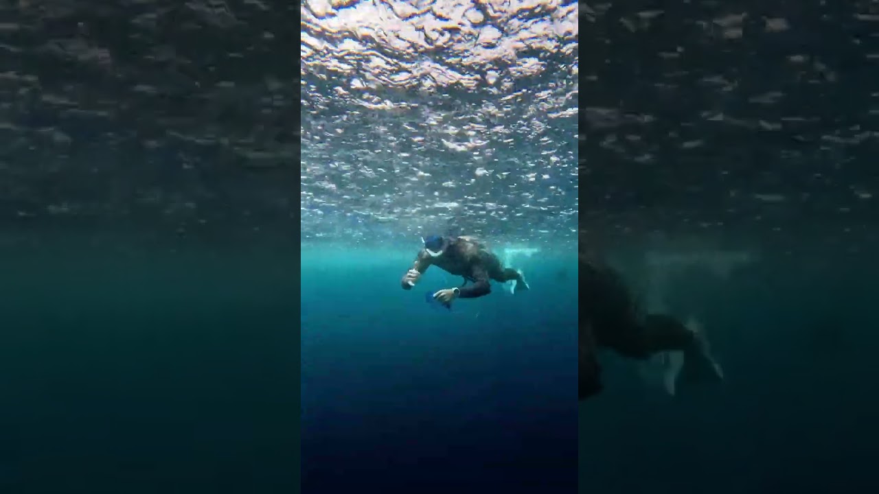 YOU&rsquo;RE GOING TO GET WET ANYWAY!  #freedivingvideo   #freediving
