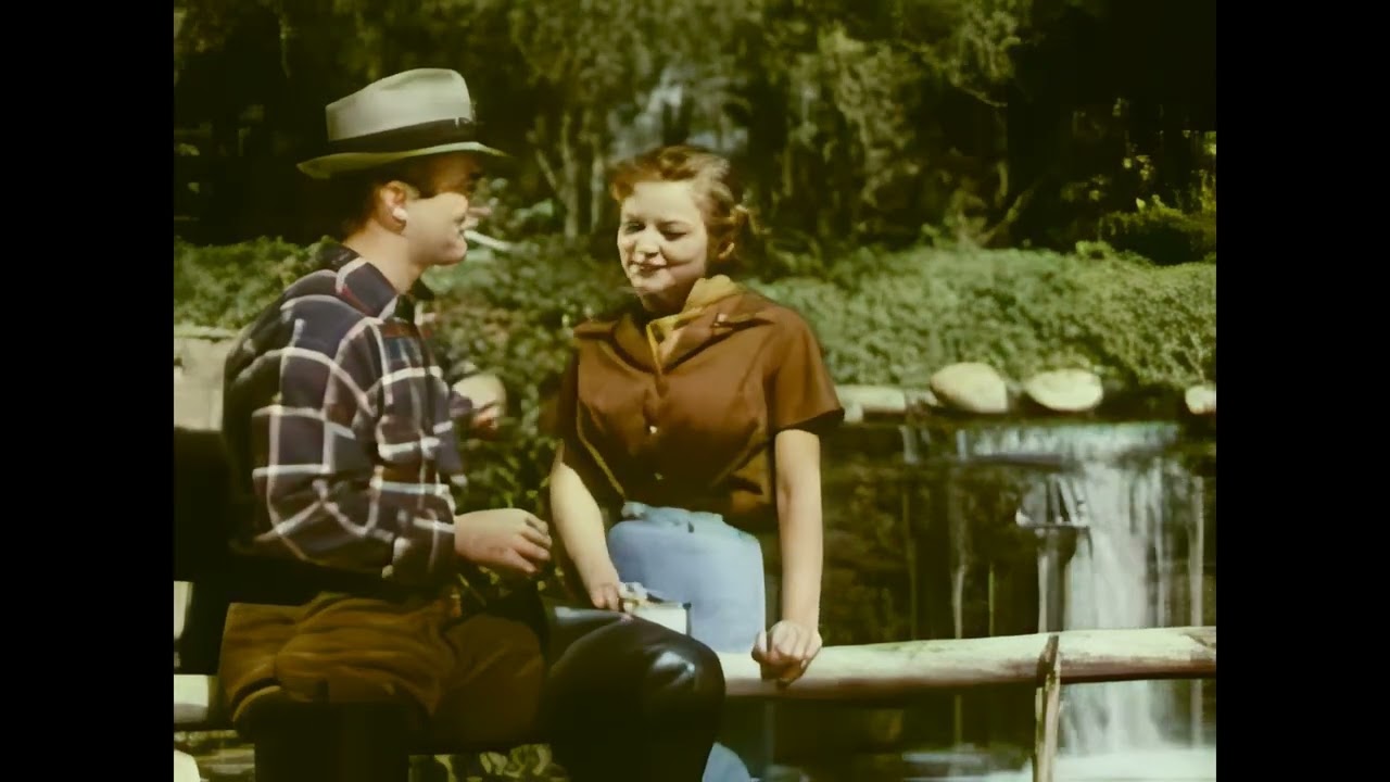 Technicolor for Industrial Films (1949) | Vintage Promotional Film Restored in 4K