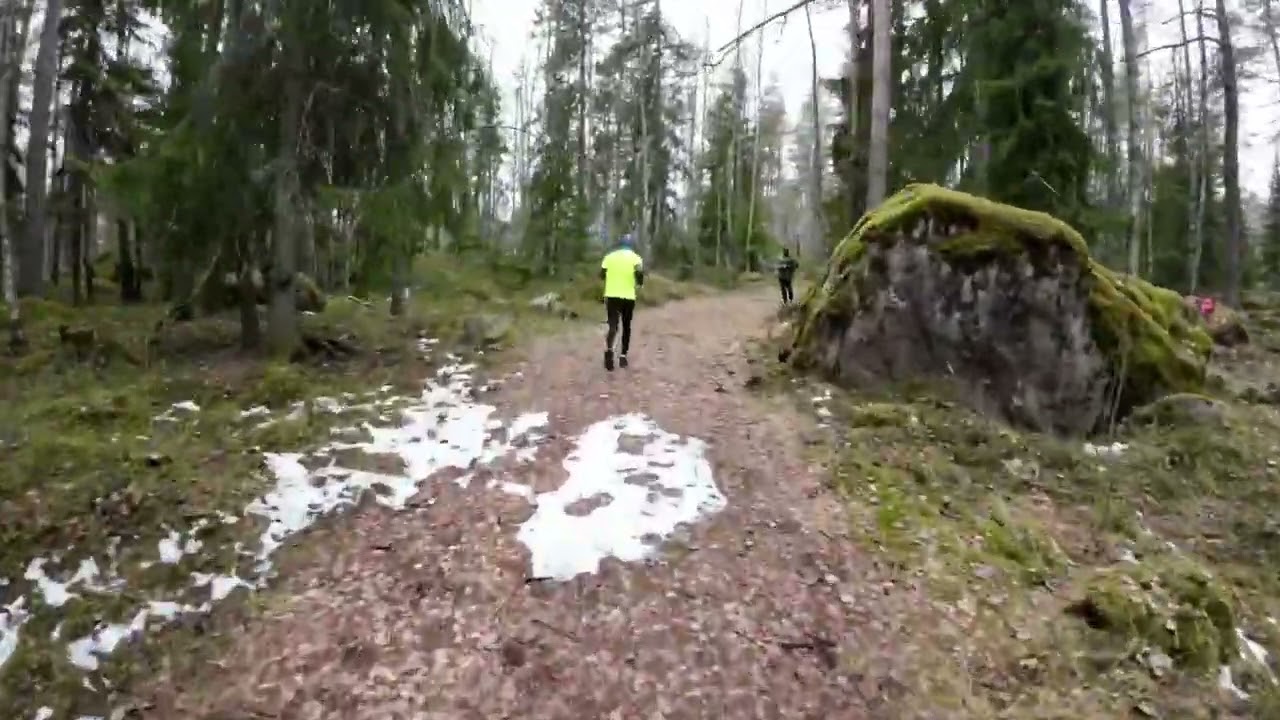 Fpv running forest
