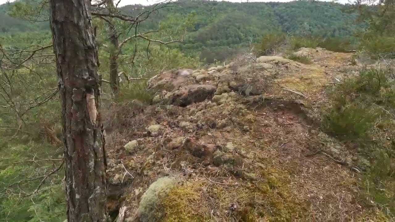 Arche aux &Eacute;boulis (Moselle, 57, panorama).