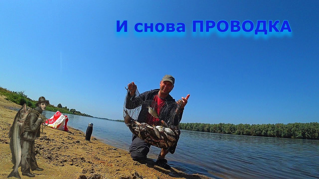 И снова в ПРОВОДКУ на реке. Ловля на пшеницу.