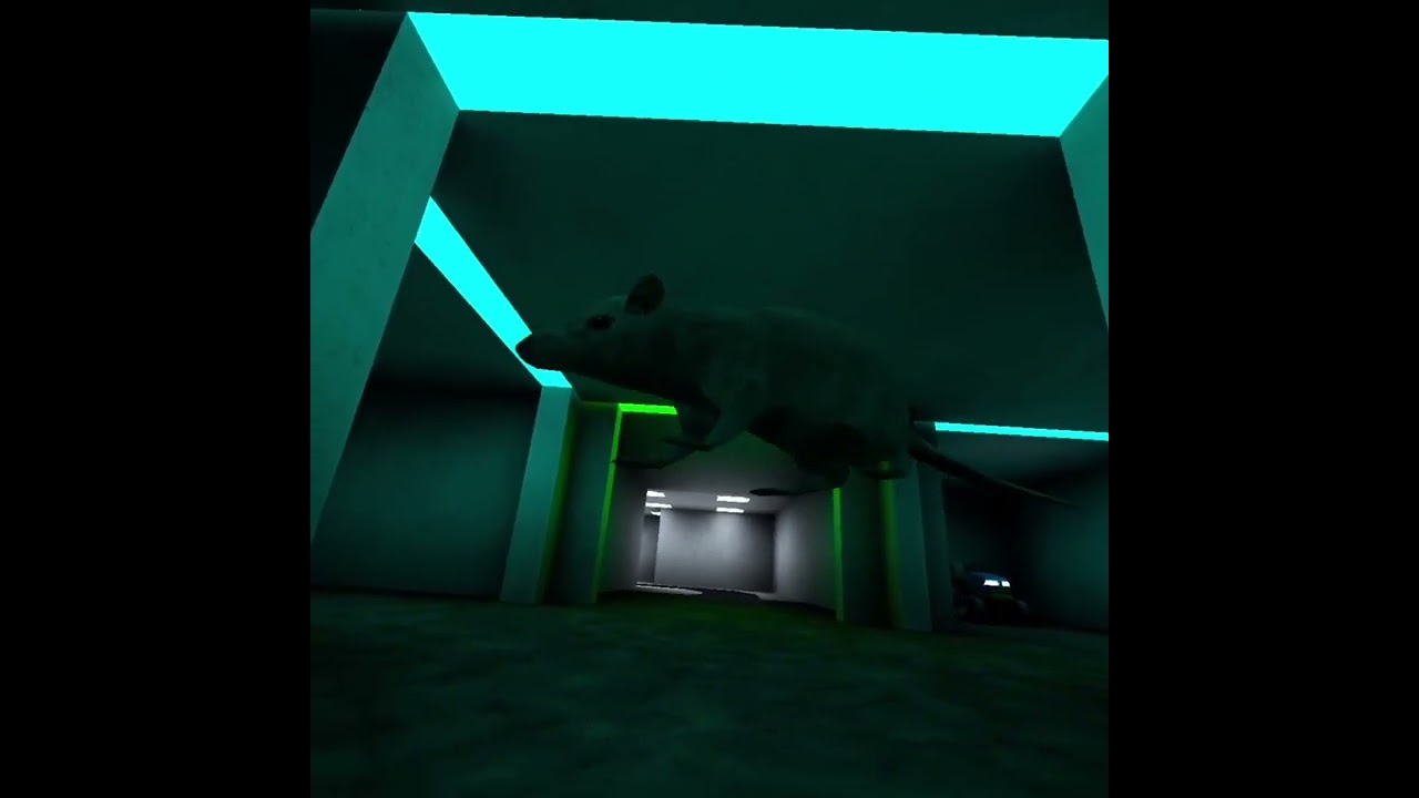 Rat song from scary baboon