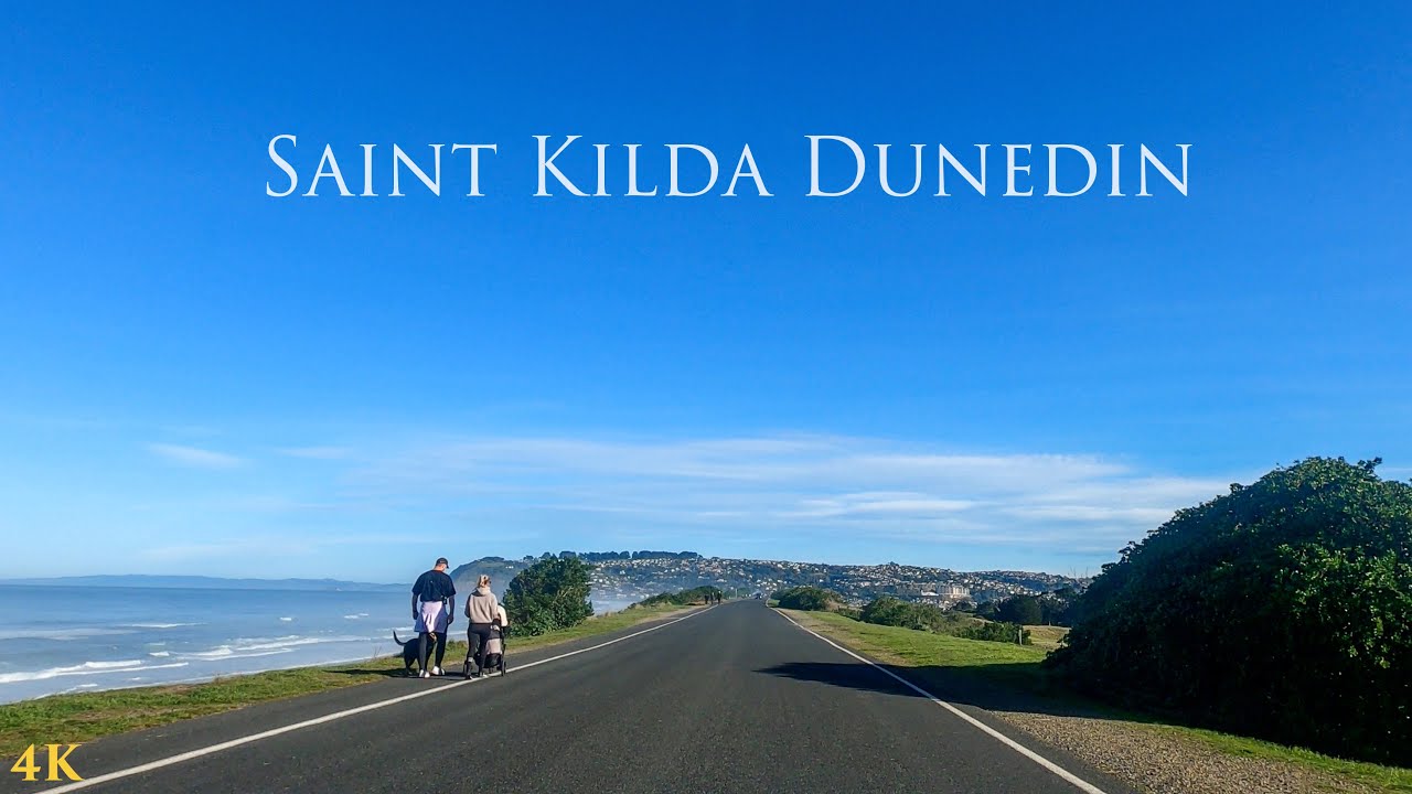 Driving From Dunedin City to Saint Kilda Beach | Dunedin New Zealand Driving Tour 4K | South Island
